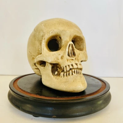 Premiere-Image-1798848